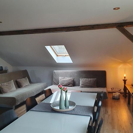 Apartmany Silvestr Dolni Rychnov Exterior foto